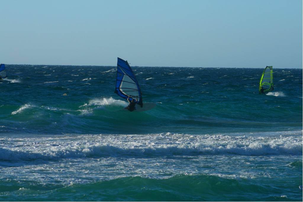 Scabs 17-12-08