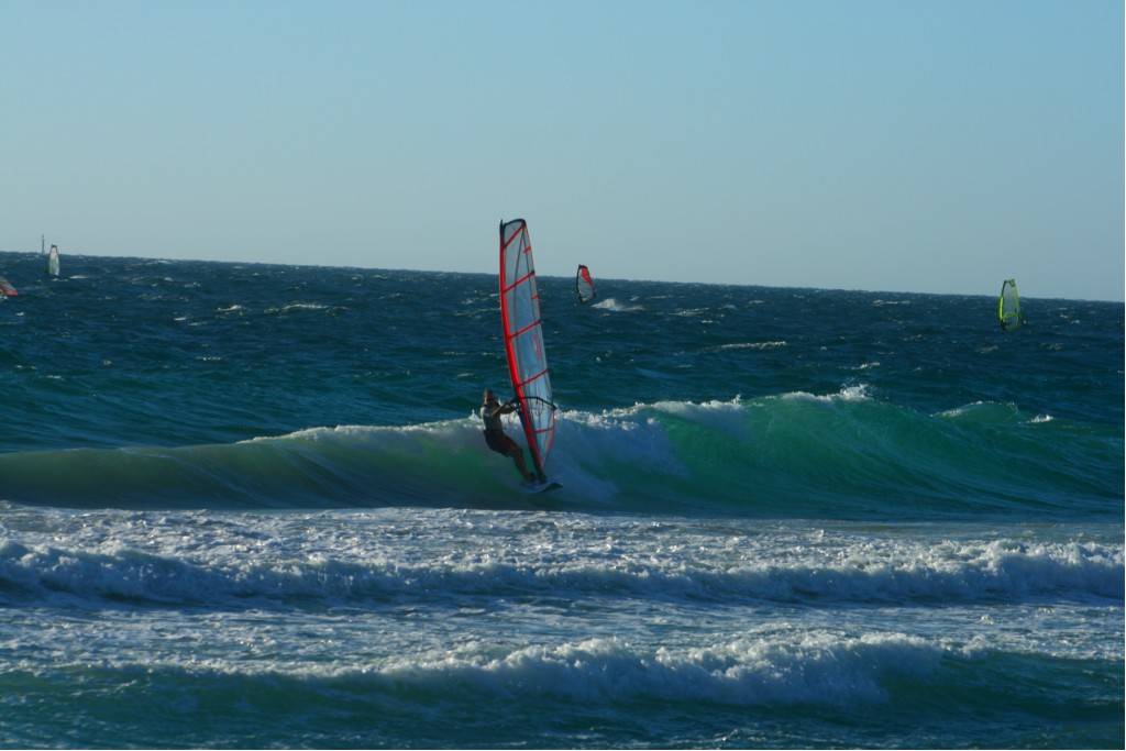 Scabs 17-12-08