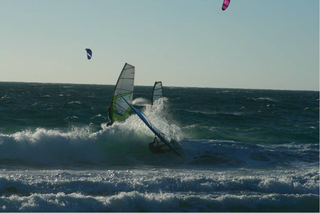 Scabs 17-12-08