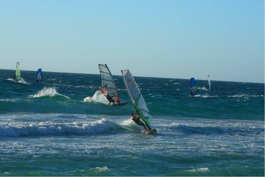 Scabs 17-12-08