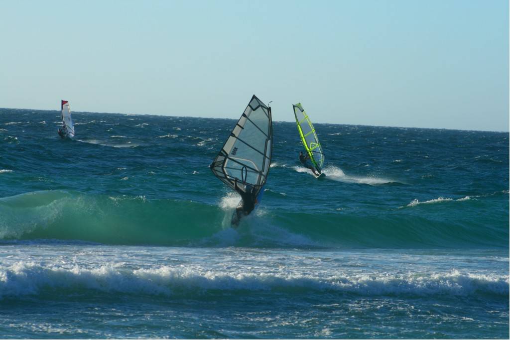 Scabs 17-12-08