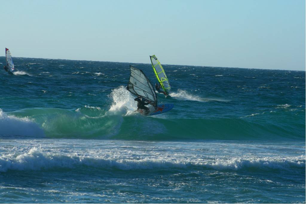 Scabs 17-12-08