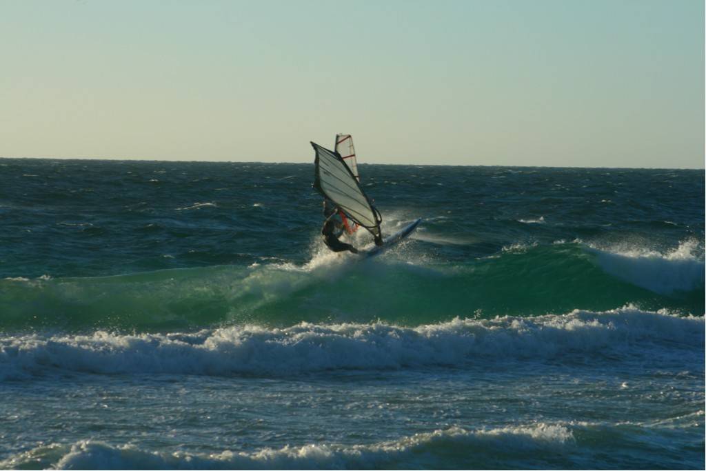 Scabs 17-12-08