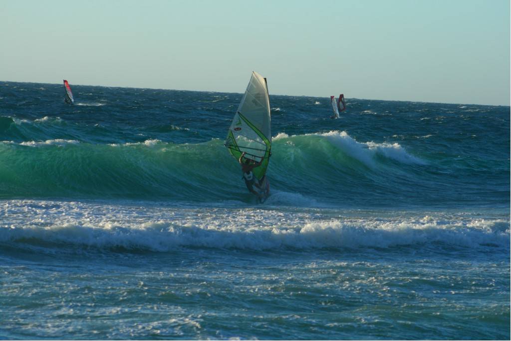 Scabs 17-12-08