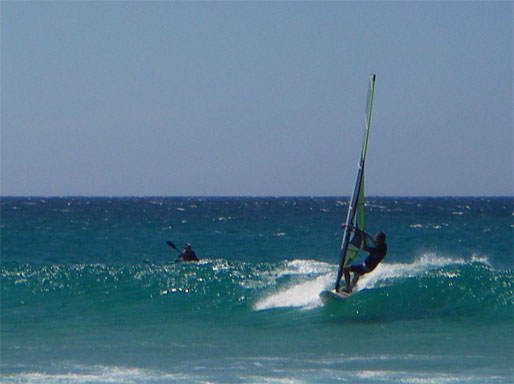 Ollie catching a wave
