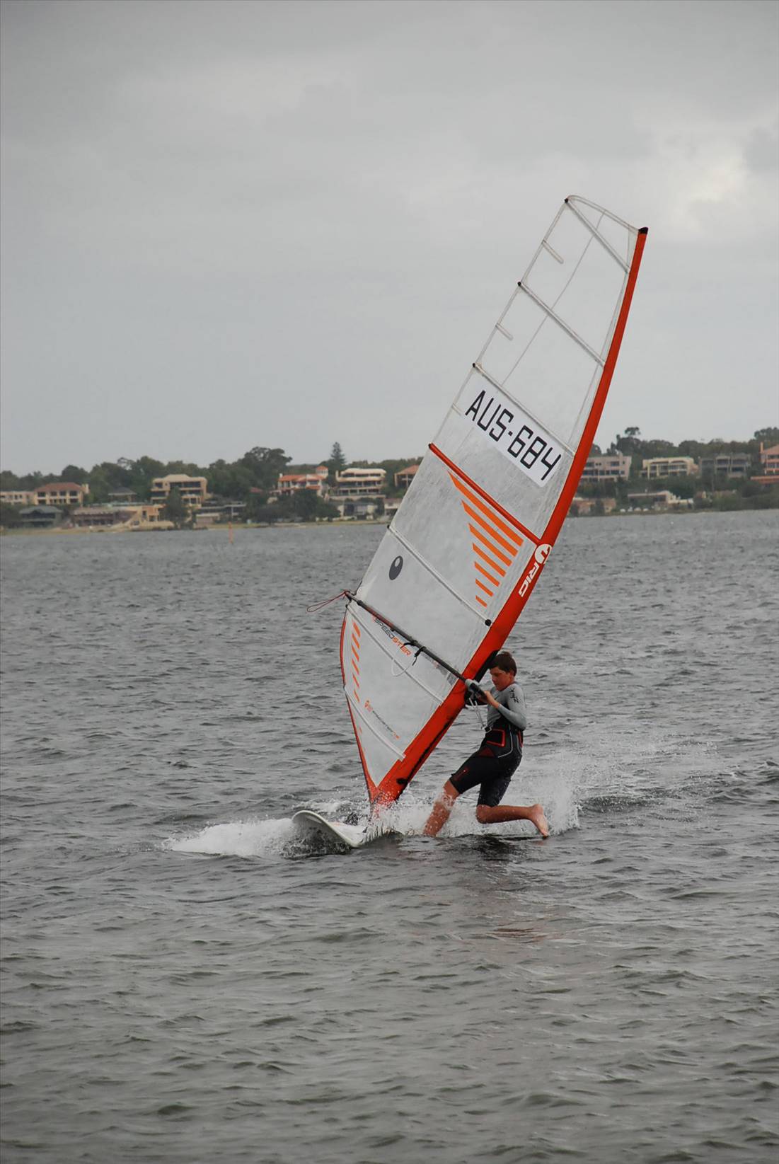 Bic Techno 293