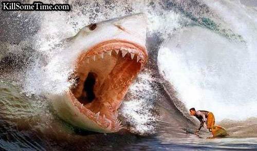 SharkAttack