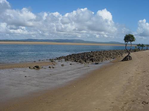 Low tide