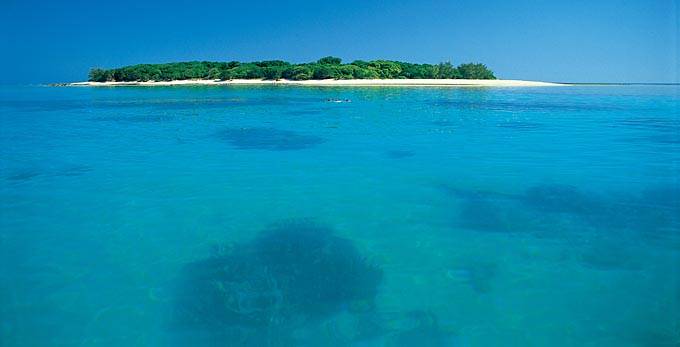 Lady-Musgrave-Island 015299