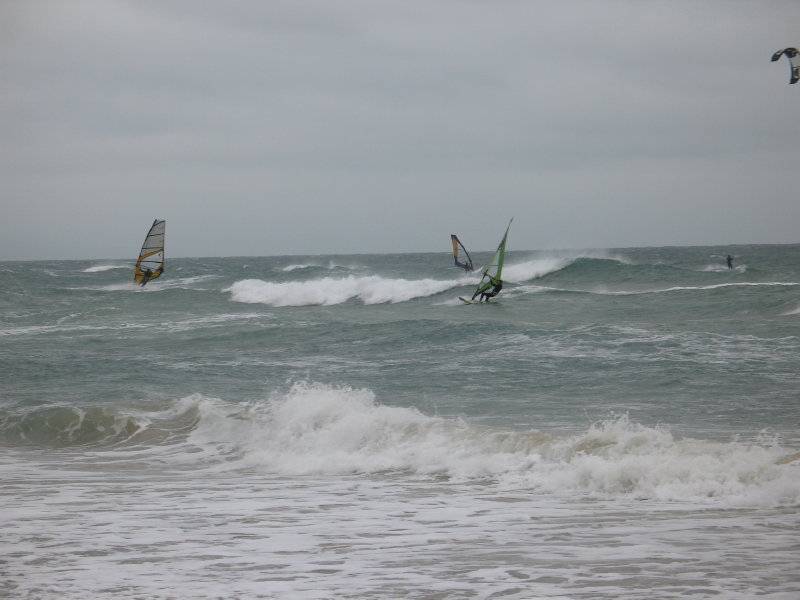 Seaford2