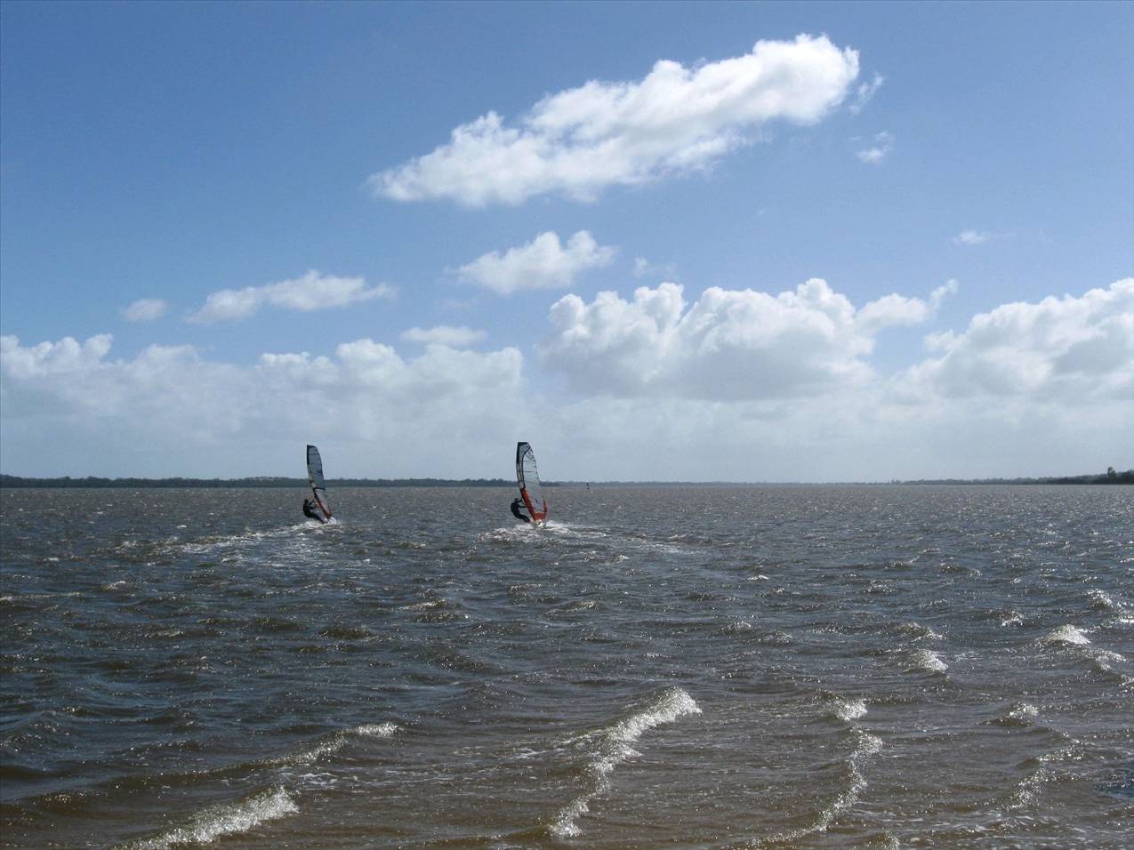 windy & cold