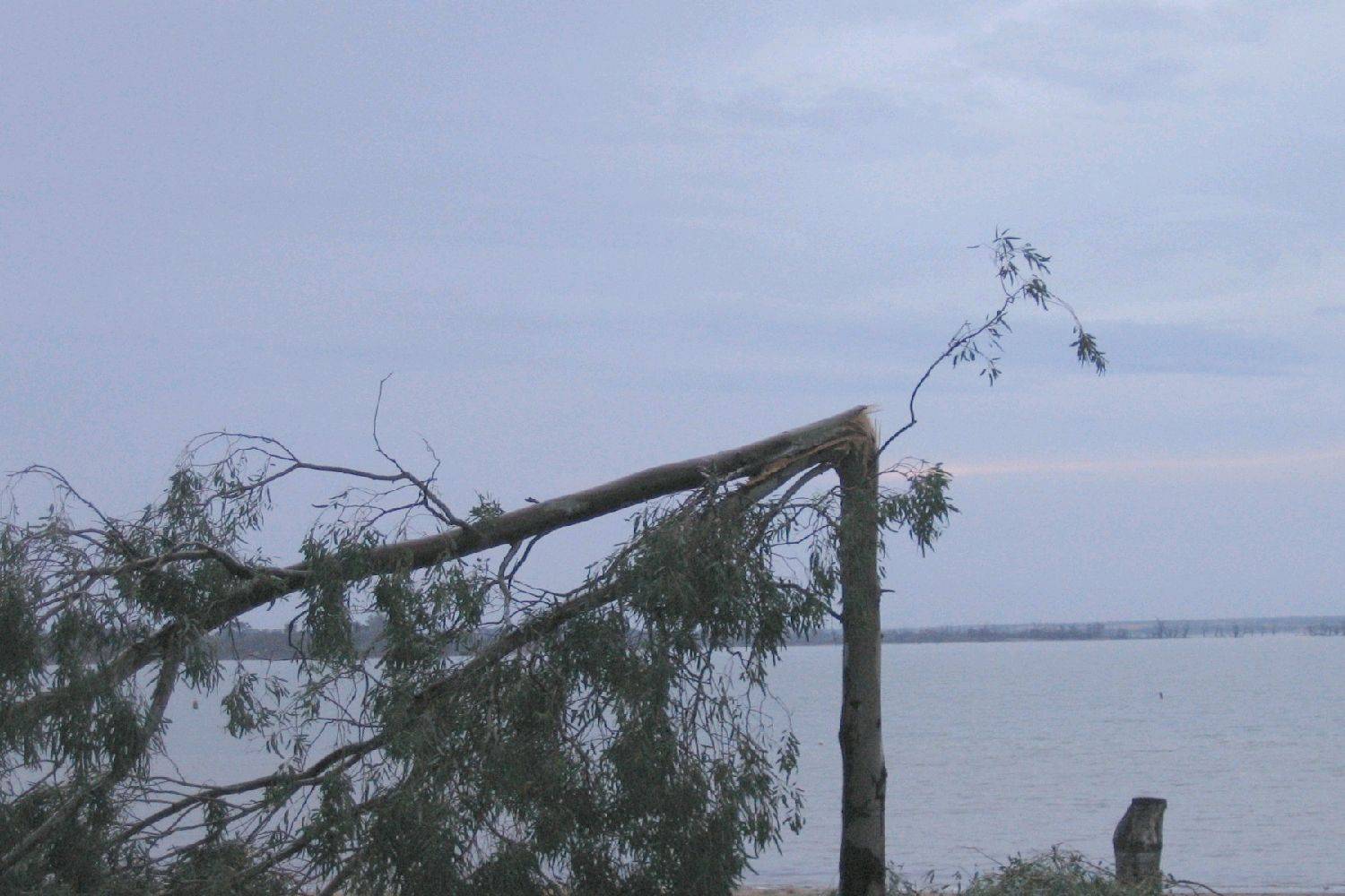 Yesterday's storm that hit Barmera 60+ knot winds and heavy rain