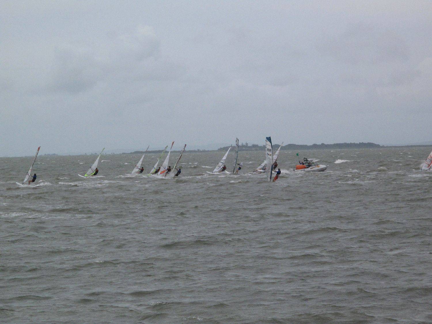 Waterloo Cup 2010