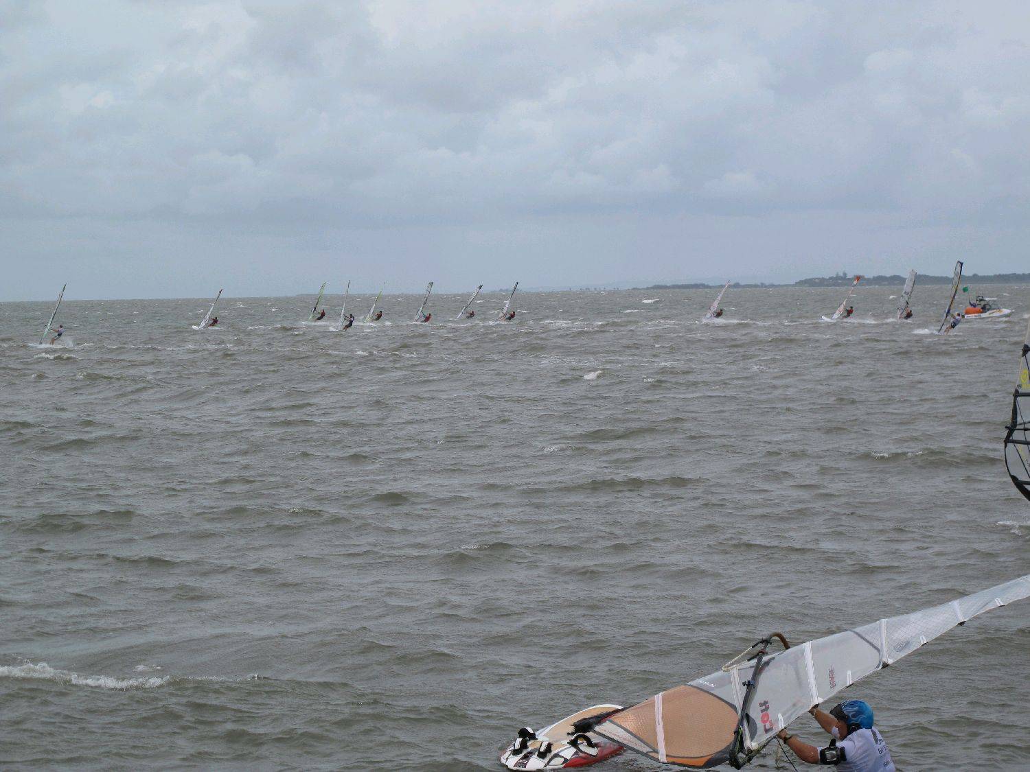 Waterloo Cup 2010