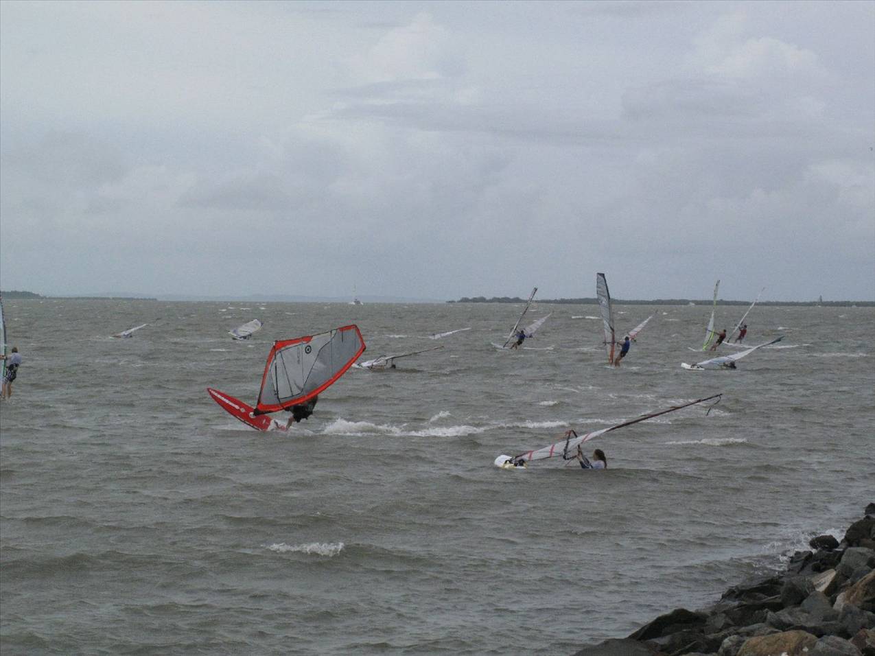 Waterloo Cup 2010