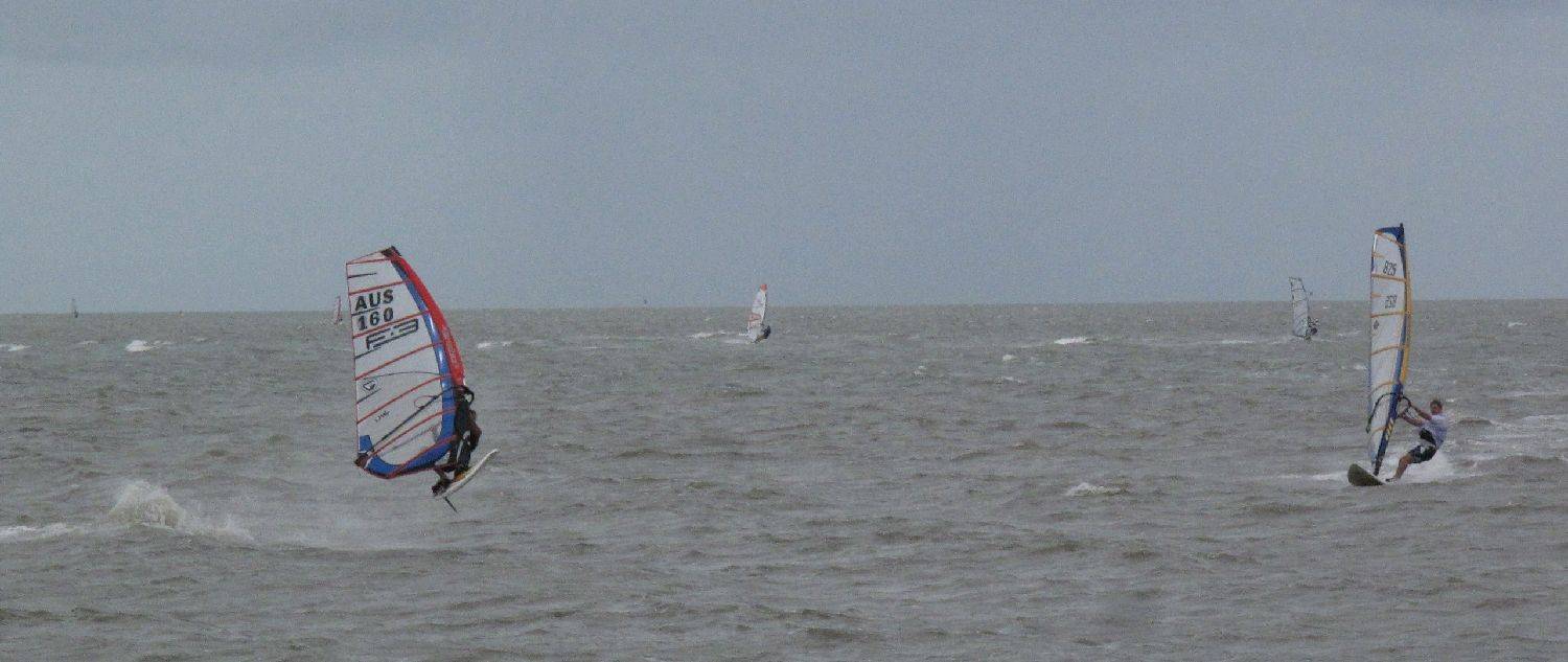Waterloo Cup 2010