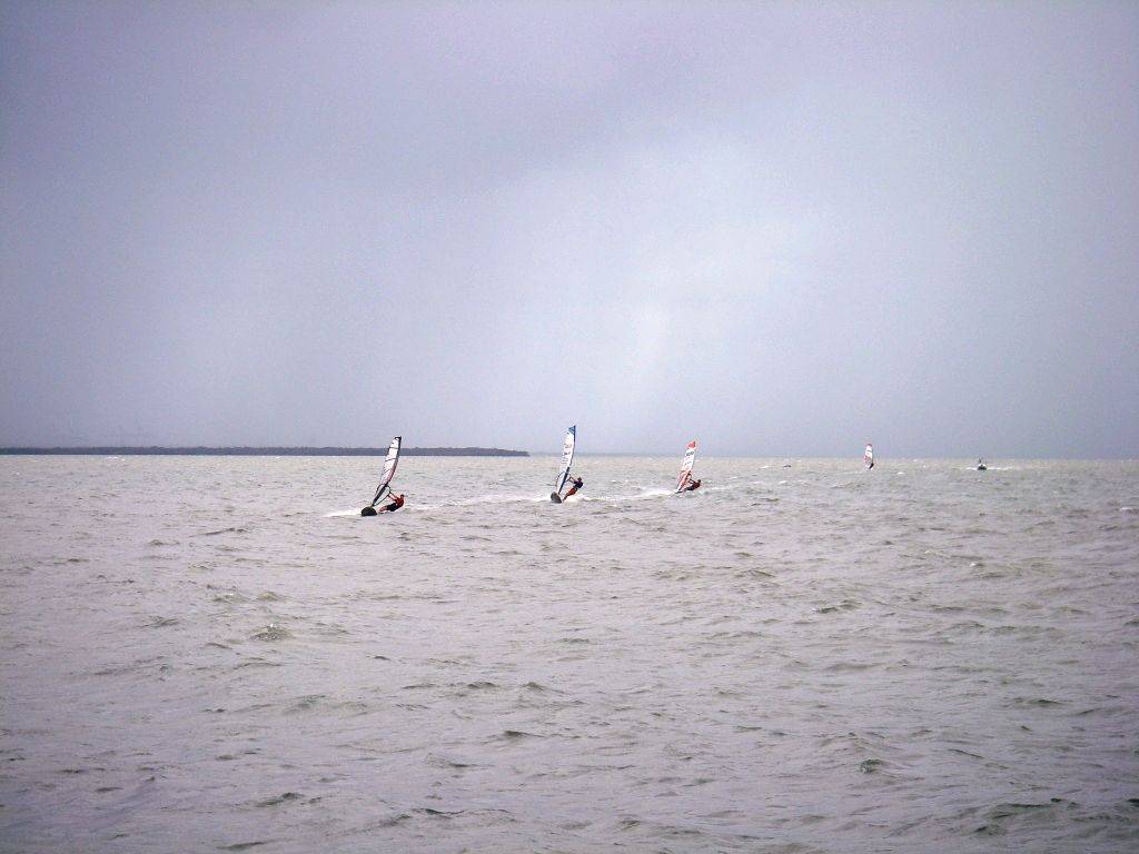 Waterloo cup (13)