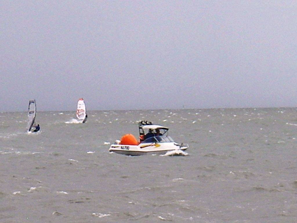 Waterloo cup (21)