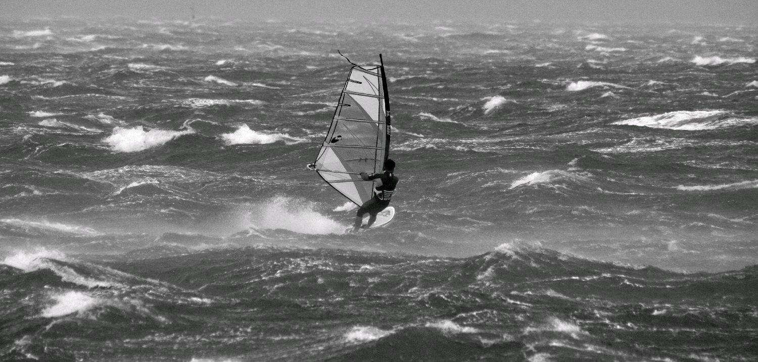 Windy Day April 2008 143