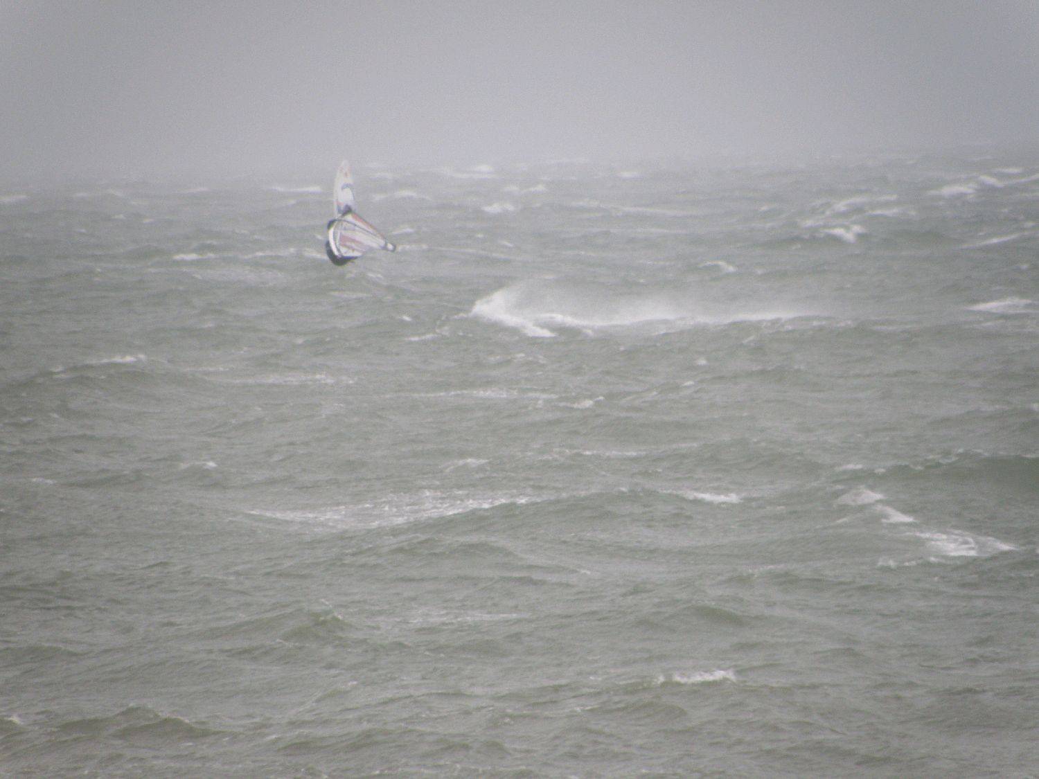 seacliff 4/9/10