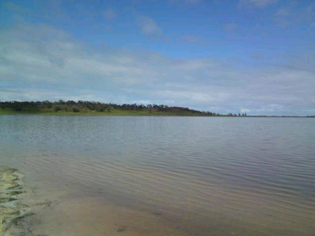 conne