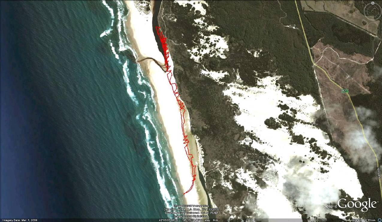 Henty Nov 8 2010