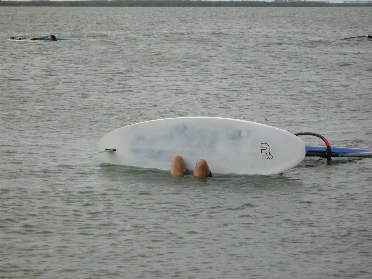 waterloo cup 09 024