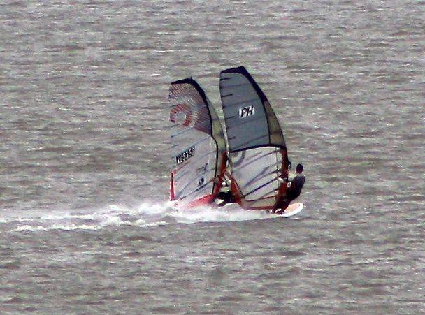 Moreton Bay Mob