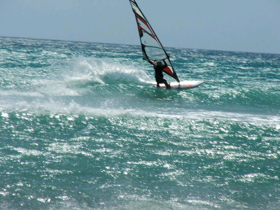 Richard cutback