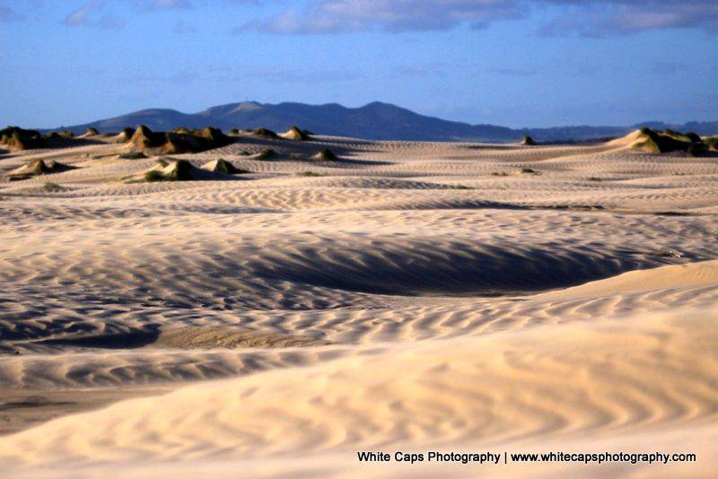 Dunes SP 5 Mar 2011 (148)