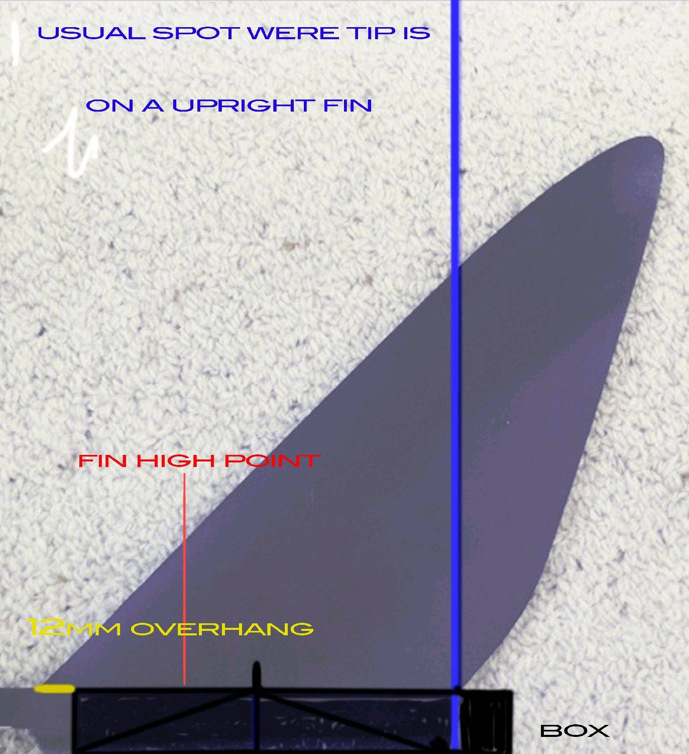 fin-d