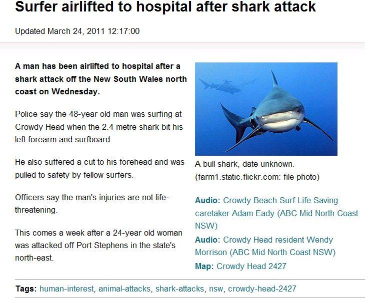 Shark Attack Mid-North Coast