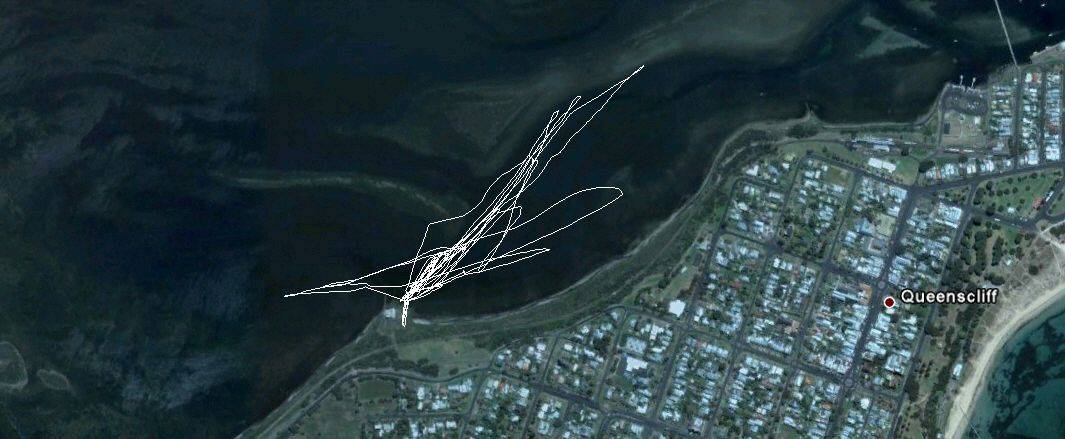 Swan Bay Run