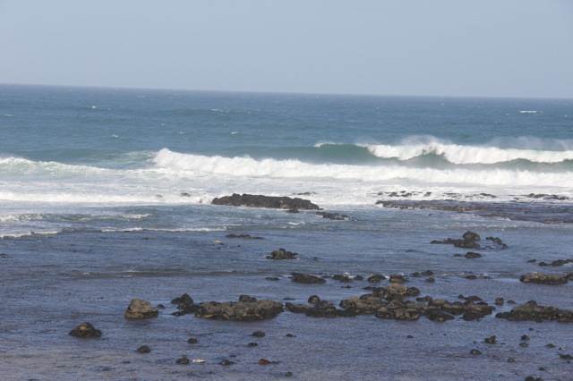 Surfies