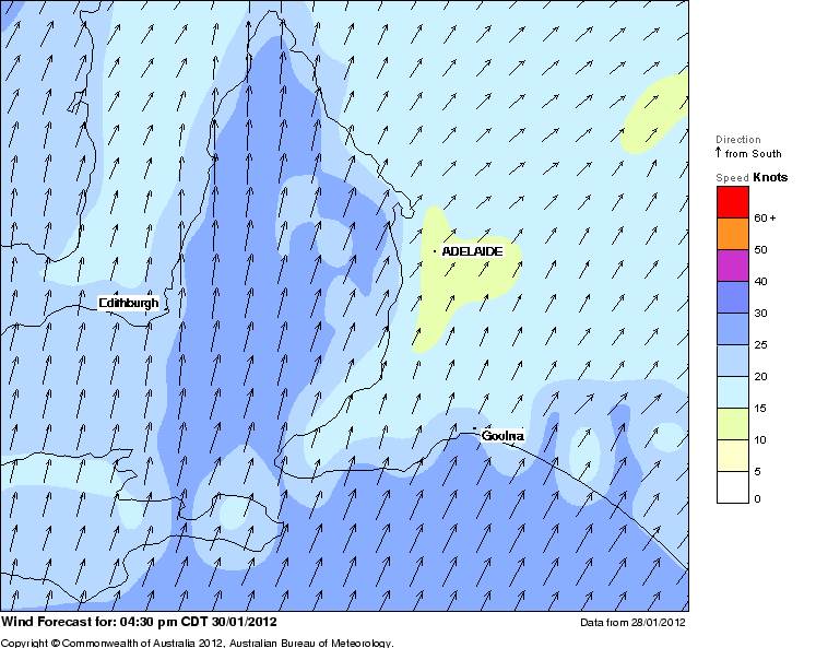 Boggy forcast