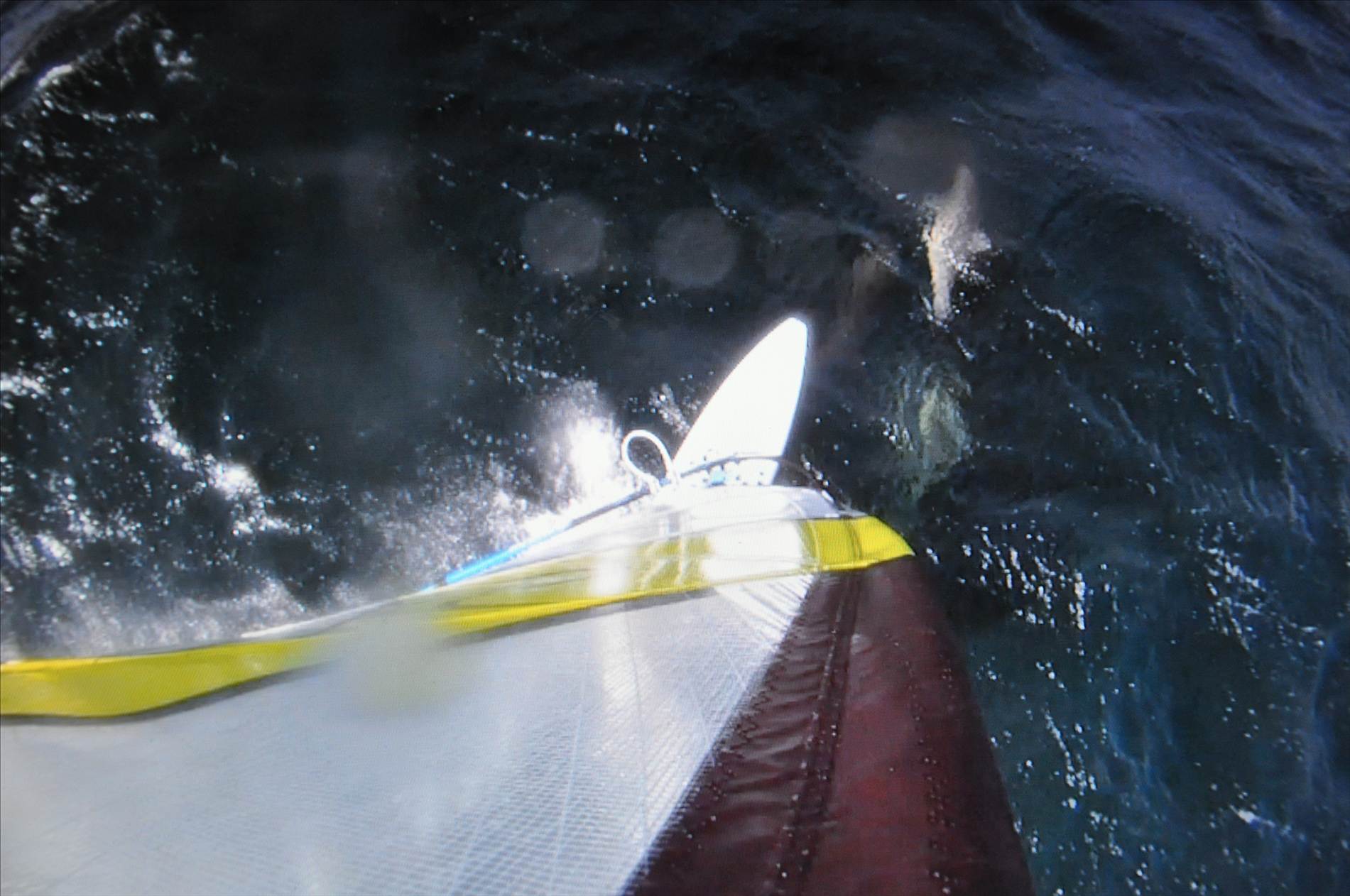 Gopro stills