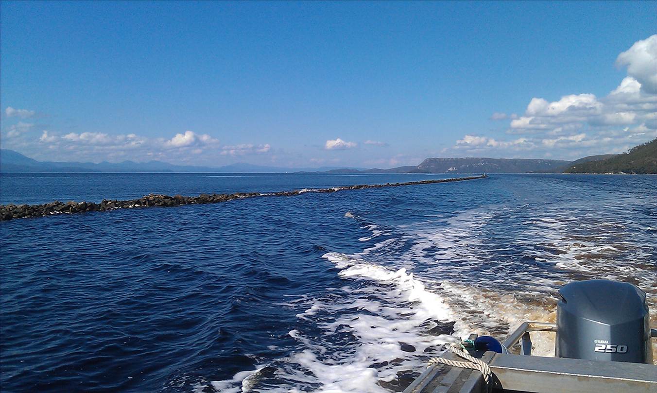 IMAG0191
