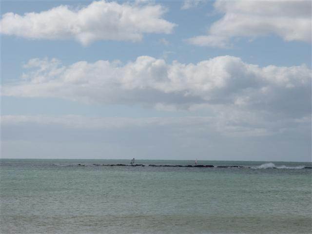 P4070004 (Small)