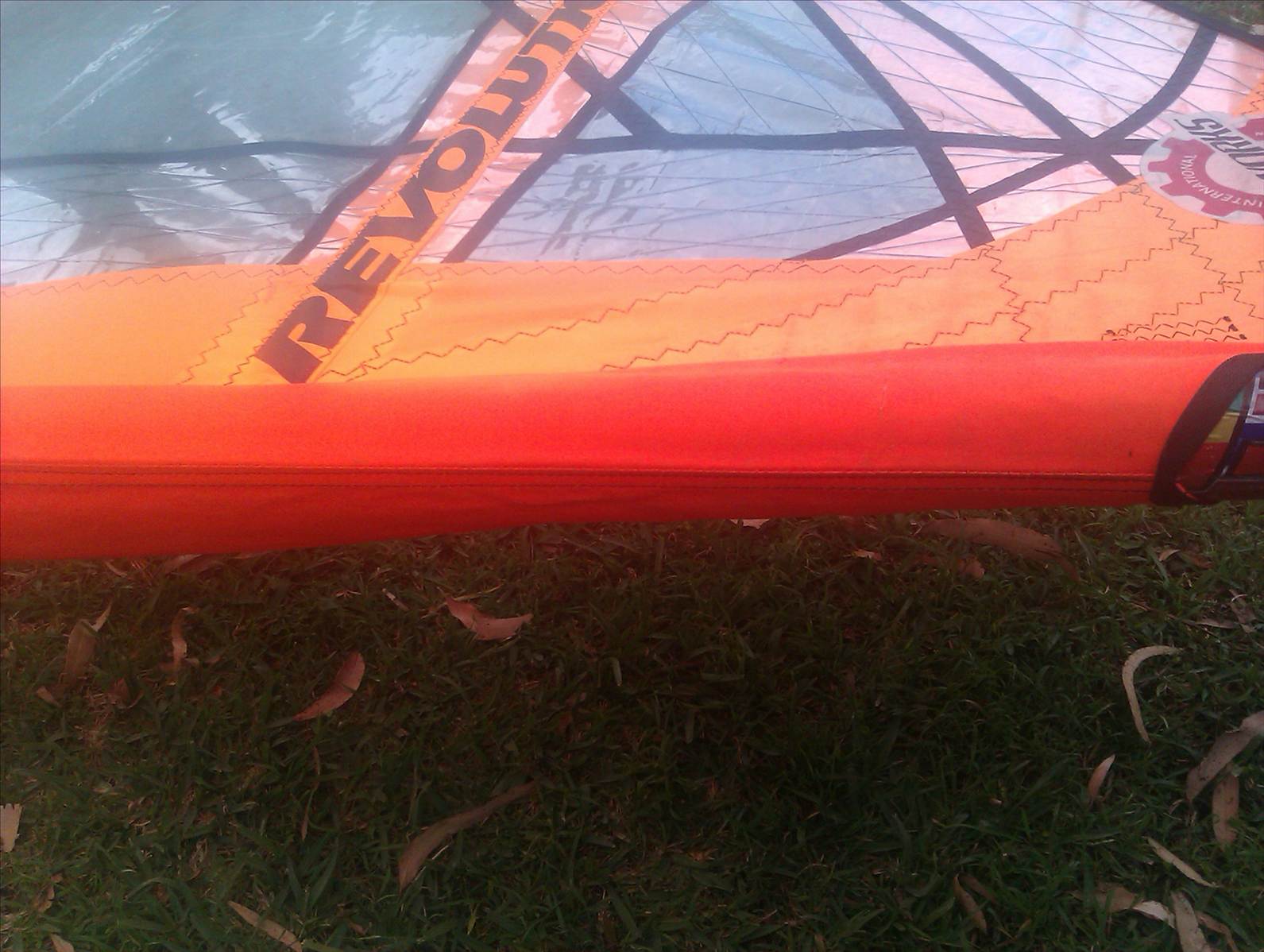 IMAG0292