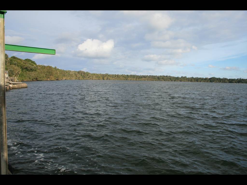 IMAGE029