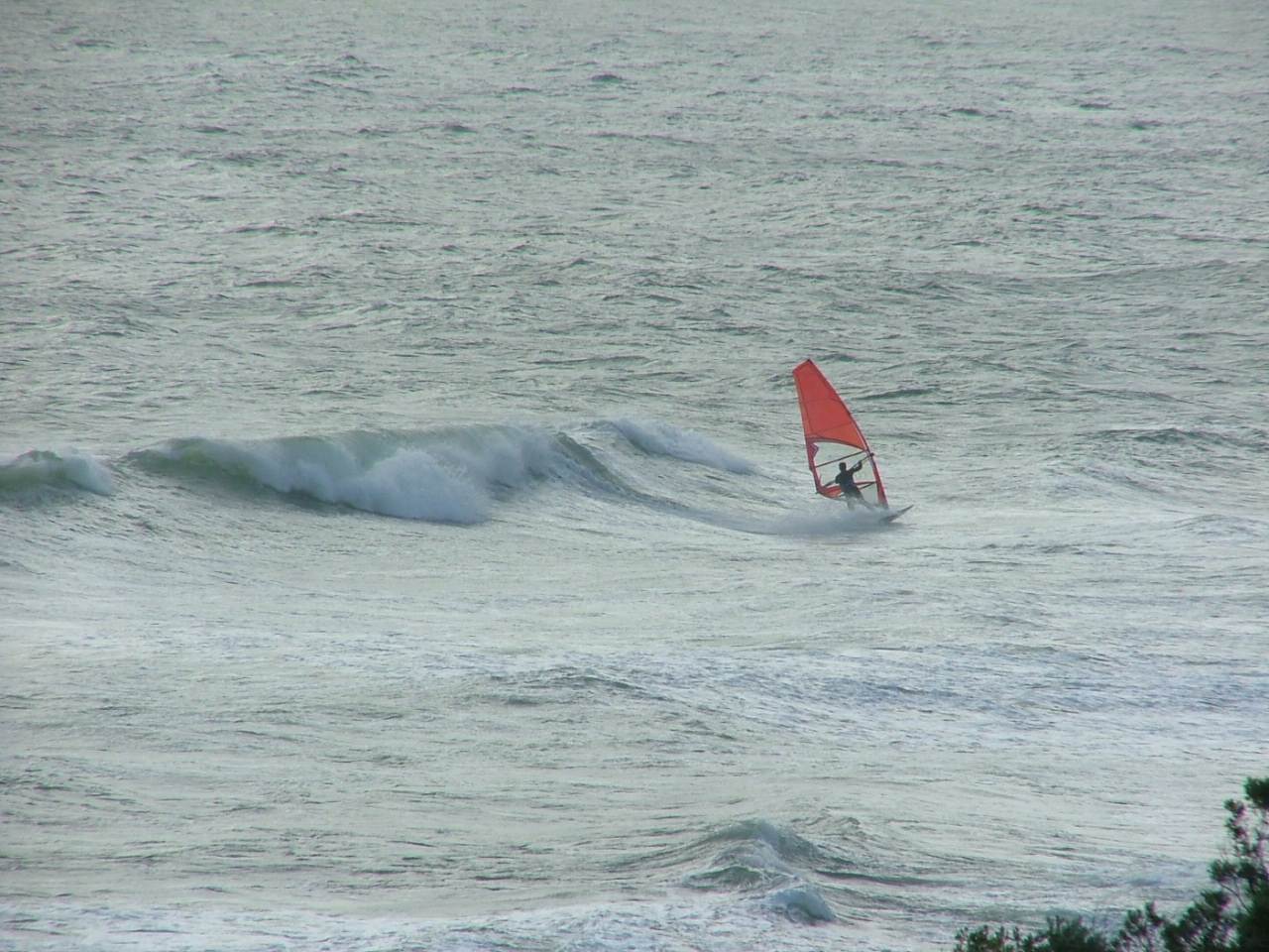 Johnnie 2012