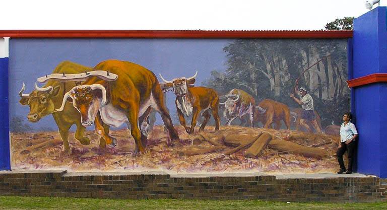 bullocky mural