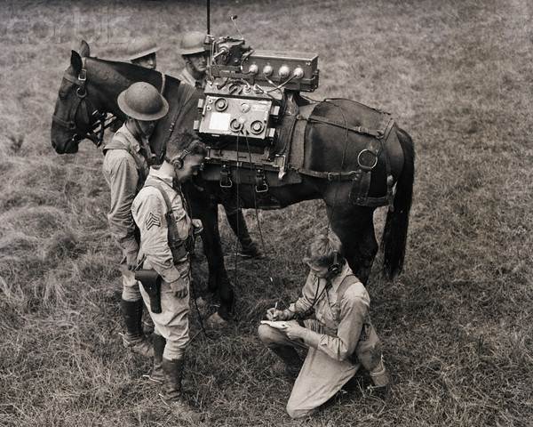 Corbis-GNUS5482