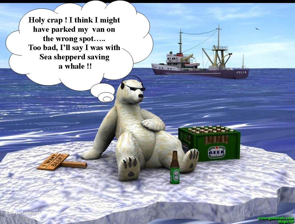 bear