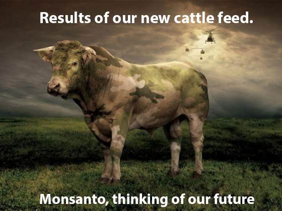 Monsanto-Cow-Poster