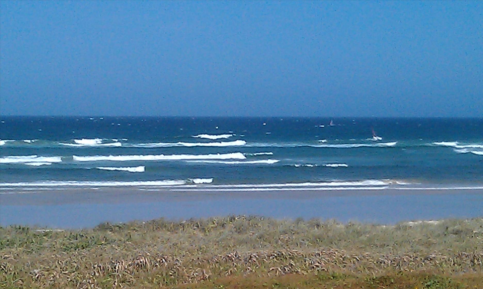 IMAG0252