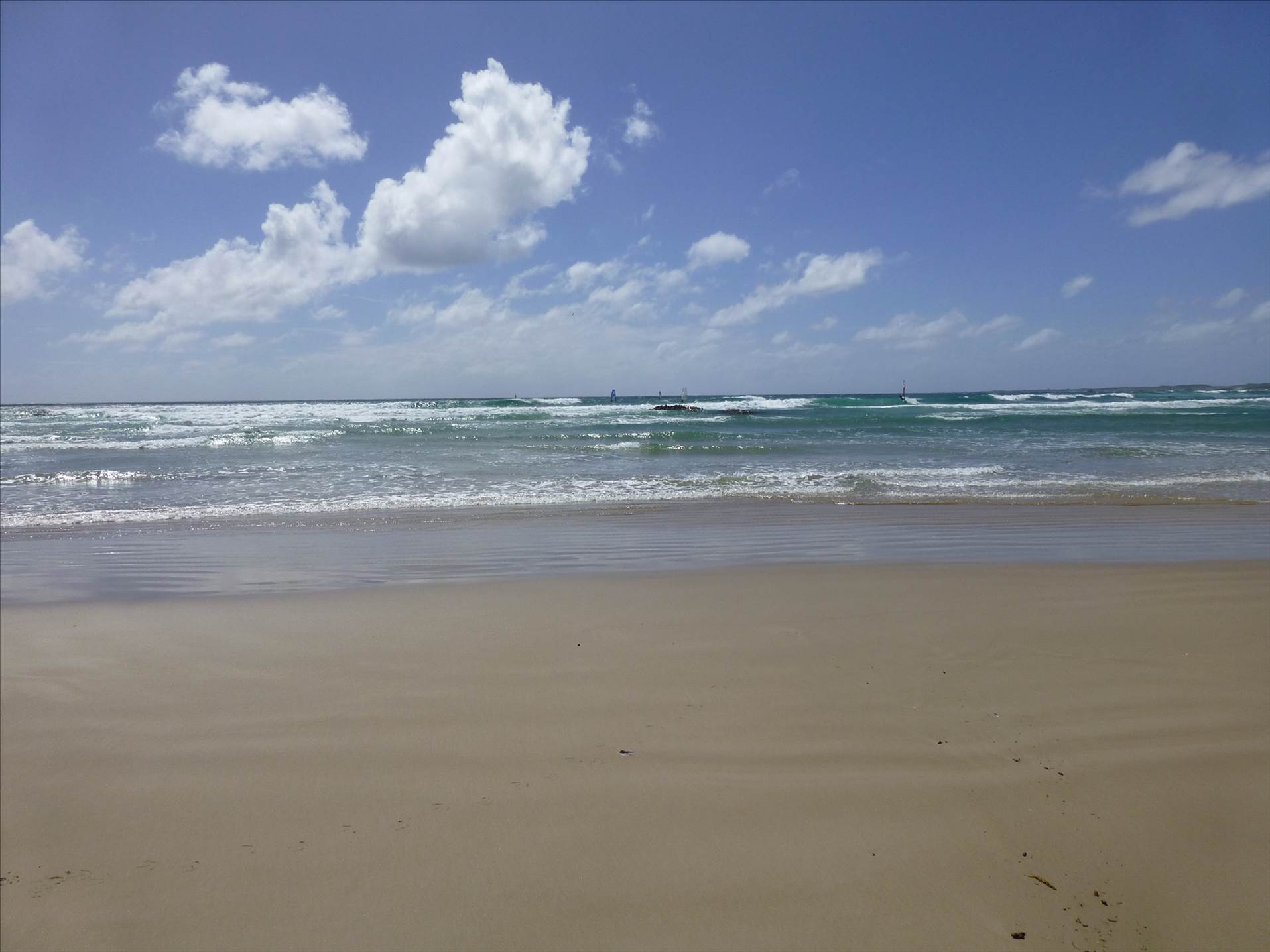 P1000050