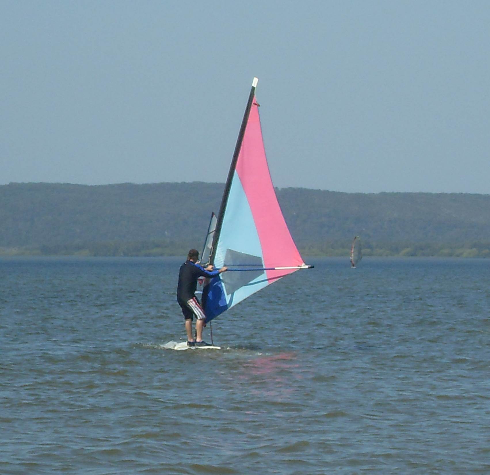 Board