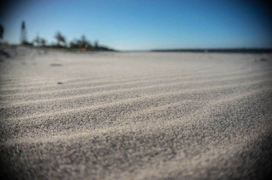 Sony NEX-6 Test     Winter Shearwater