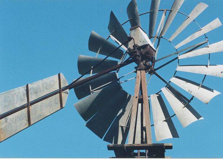 My wind tree